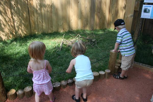 Anna, Ruby, and Benjamin looking at...