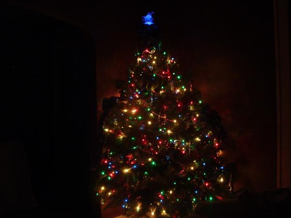 ChristmasTree2005Dark.JPG