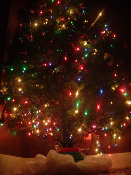 DSCF0006.JPG