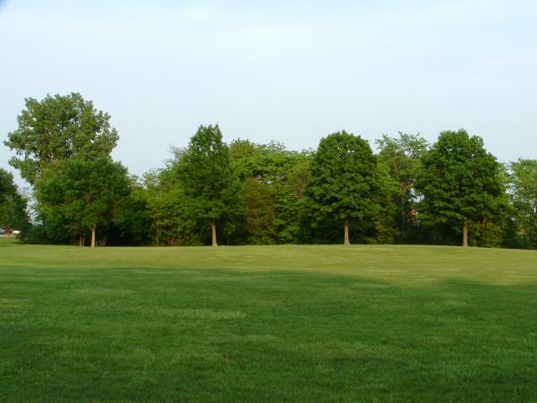 DSCF0010.JPG