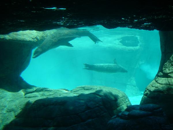 DSCF0034.JPG