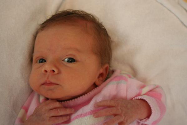 IMG_1450.jpg