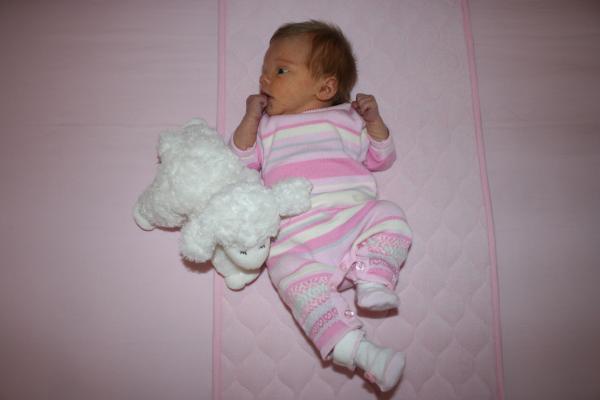 IMG_1623.jpg