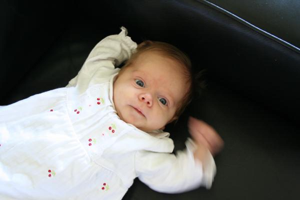 IMG_2405.jpg