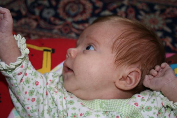 IMG_2448.jpg