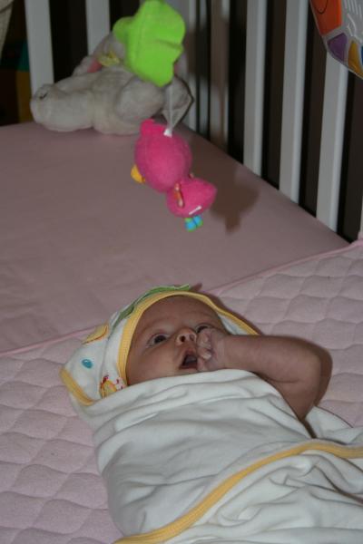 IMG_3010.jpg