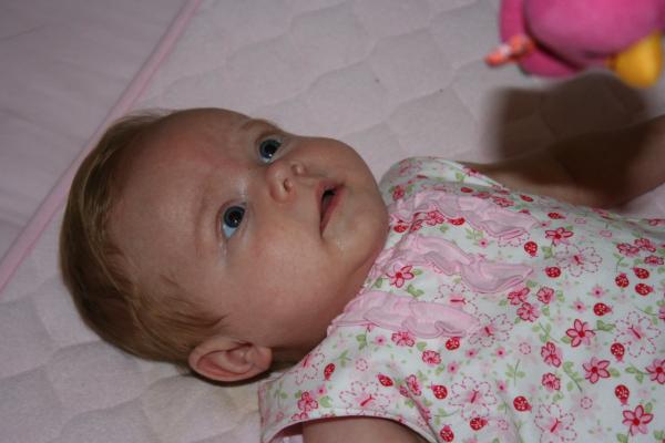 IMG_3198.jpg