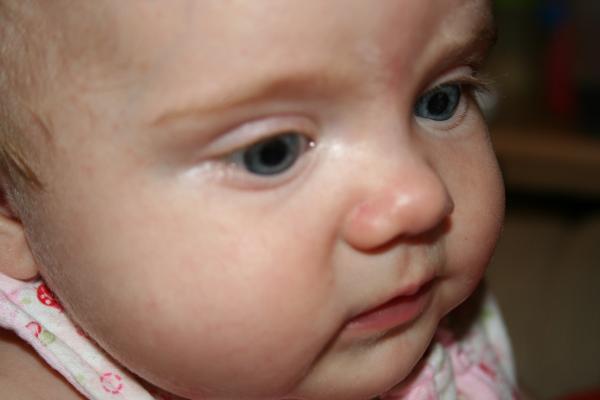 IMG_3995.jpg