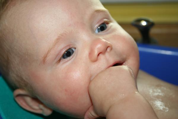 IMG_4220.jpg