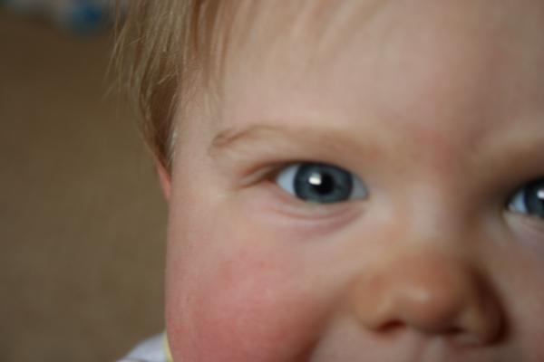 IMG_7493.jpg