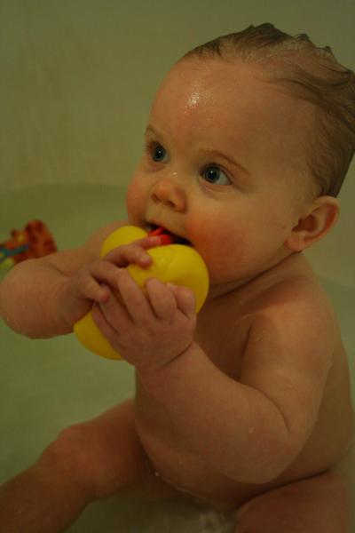 IMG_7684.JPG