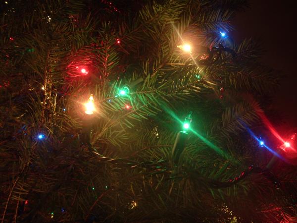 lights.JPG
