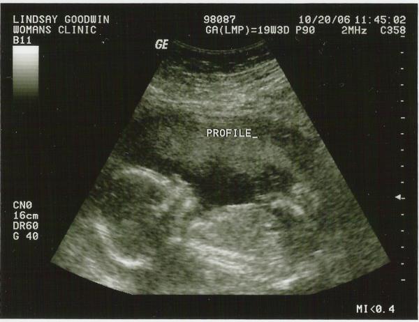 scan0001.jpg