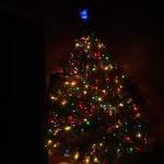 ChristmasTree2005Dark.JPG