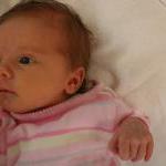 IMG_1453.jpg