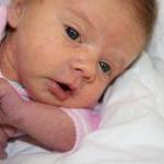 IMG_1616.jpg