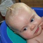 IMG_4229.jpg