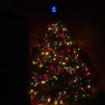 ChristmasTree2005Dark.JPG