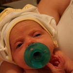 IMG_2019.jpg