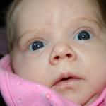 IMG_2427.jpg