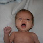 IMG_2542.jpg