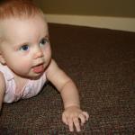 IMG_5390.jpg