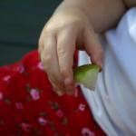 IMG_5624.jpg