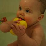 IMG_7684.JPG