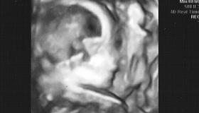 21w Profile 2.jpg 21w Profile 2.jpg