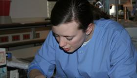 IMG_0870.jpg