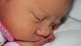IMG_1170.jpg