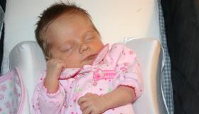 IMG_1454.jpg