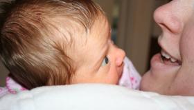 IMG_1559.jpg