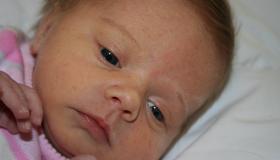 IMG_1597.jpg