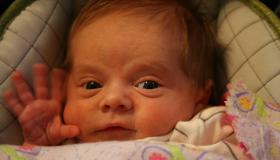 IMG_1971.jpg