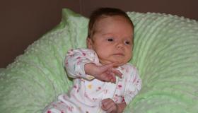 IMG_2040.jpg