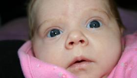 IMG_2427.jpg IMG_2427.jpg
