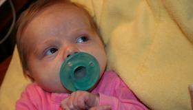 IMG_2528.jpg