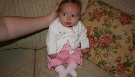 IMG_2679.jpg