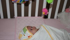 IMG_3004.jpg