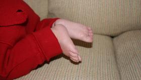 IMG_3150.jpg