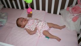 IMG_3196.jpg