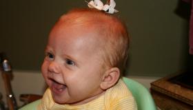 IMG_3723.jpg IMG_3723.jpg