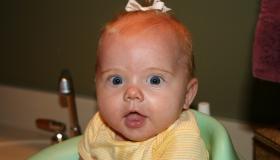 IMG_3728.jpg