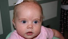 IMG_3981.jpg