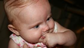 IMG_4005.jpg