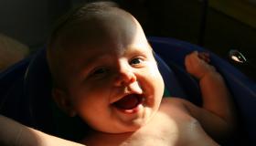 IMG_4100.jpg IMG_4100.jpg