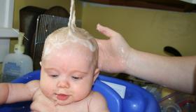 IMG_4130.jpg