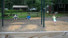 IMG_4373.jpg