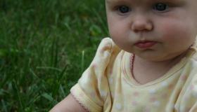 IMG_4387.jpg